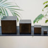 cube en Shungite