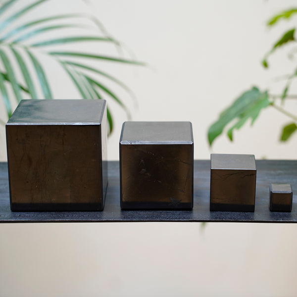 cube en Shungite