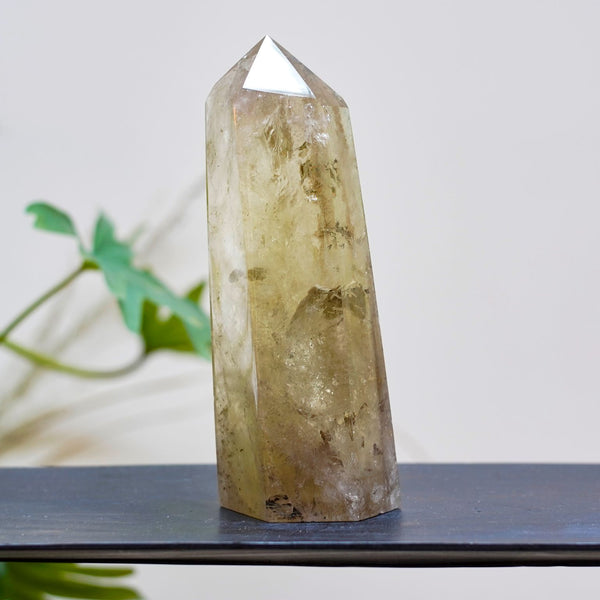 Un magnifique cristal maître de citrine  On appelle cristal maître , des pierres dépassant 15cm de haut.  Ces cristaux Maîtres ont chacun des propriétés uniques indépendamment du type de pierre.  Ils contiennent  une sagesse ancestrale, ces êtres minéraux gardent en eux la mémoire de l'humanité